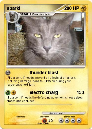Pokemon sparki