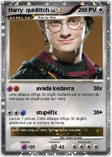 Pokemon Harry  quidittch