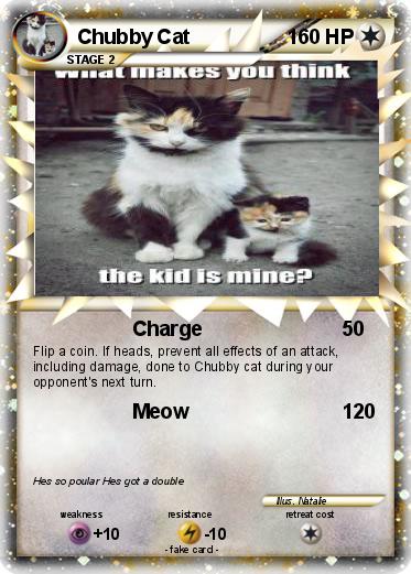 Pokemon Chubby Cat