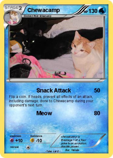 Pokemon Chewacamp