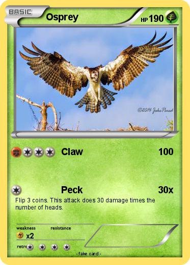 Pokemon Osprey