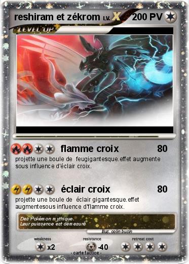 Pokemon reshiram et zékrom