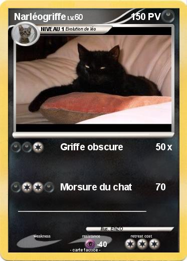 Pokemon Narléogriffe