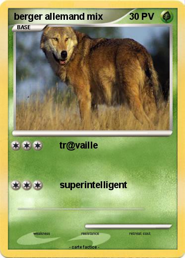 Pokemon berger allemand mix