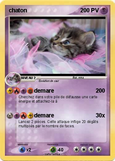 Pokemon chaton