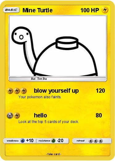 Pokemon Mine Turtle