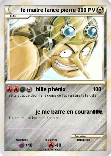 Pokemon le maitre lance pierre