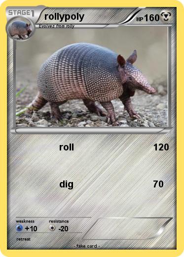 Pokemon rollypoly