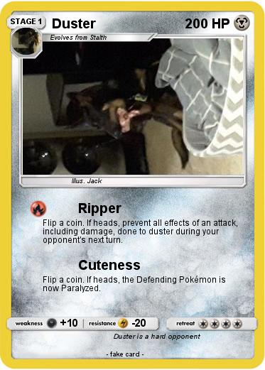 Pokemon Duster
