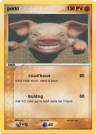 Pokemon porki