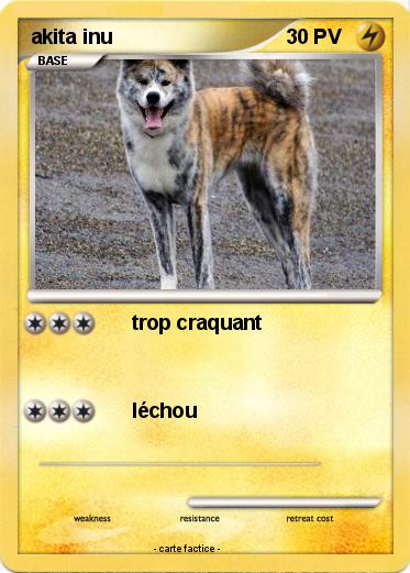 Pokemon akita inu