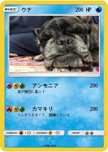 Pokemon ウナ