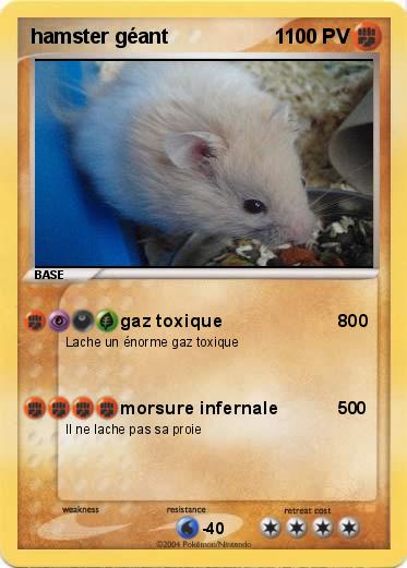 Pokemon hamster géant                   1
