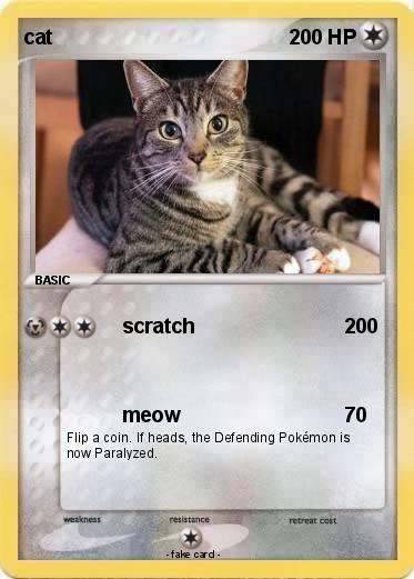 Pokemon cat