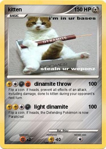 Pokemon kitten