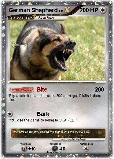 Pokemon German Shepherd