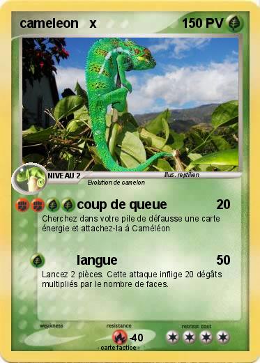 Pokemon cameleon   x