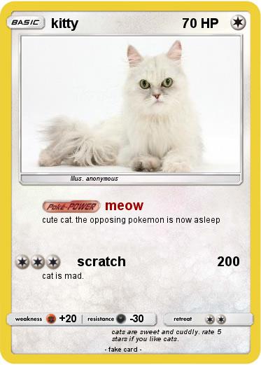 Pokemon kitty