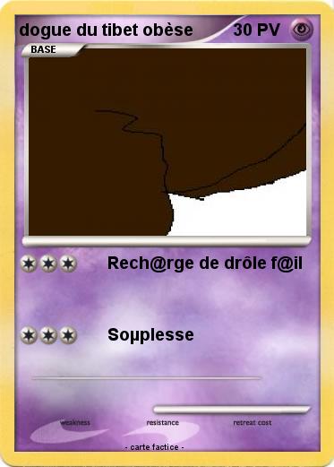Pokemon dogue du tibet obèse