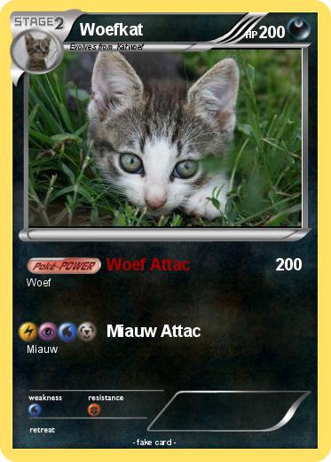 Pokemon Woefkat