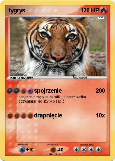 Pokemon tygrys