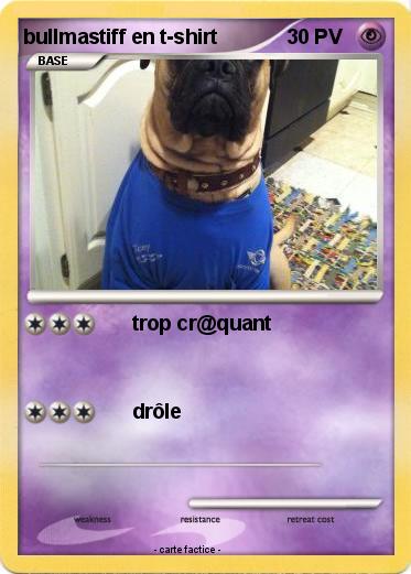 Pokemon bullmastiff en t-shirt