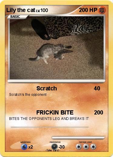 Pokemon Lily the cat