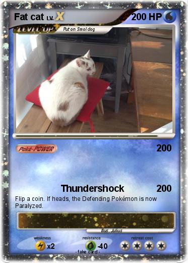 Pokemon Fat cat
