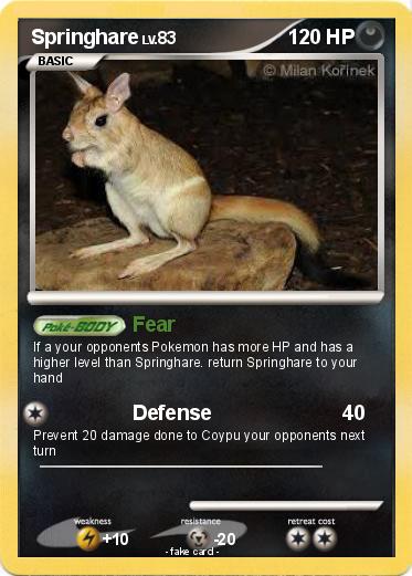 Pokemon Springhare