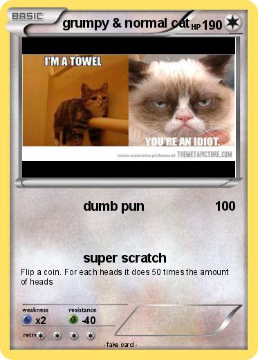 Pokemon grumpy & normal cat