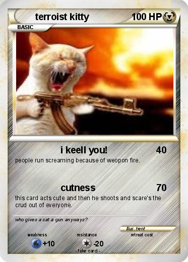 Pokemon terroist kitty