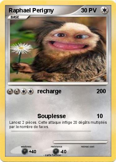Pokemon Raphael Perigny