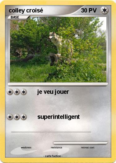 Pokemon colley croisé