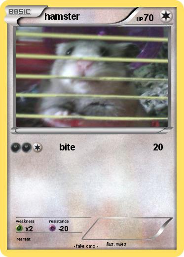 Pokemon hamster