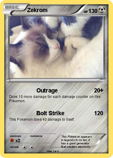 Pokemon Zekrom