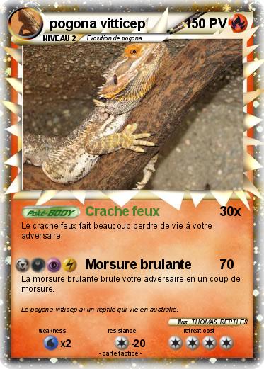Pokemon pogona vitticep
