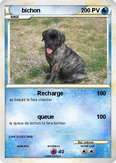 Pokemon bichon