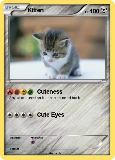 Pokemon Kitten