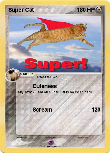 Pokemon Super Cat