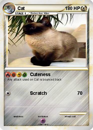 Pokemon Cat