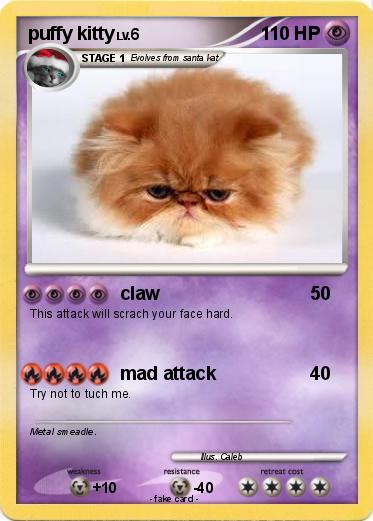 Pokemon puffy kitty