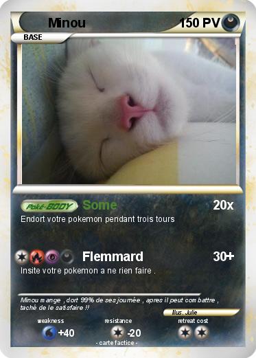 Pokemon Minou