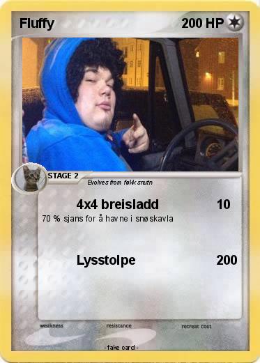 Pokemon Fluffy