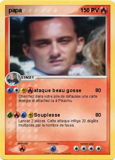 Pokemon papa