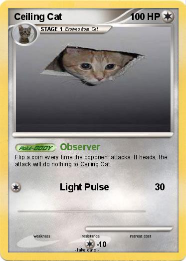 Pokemon Ceiling Cat