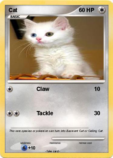 Pokemon Cat