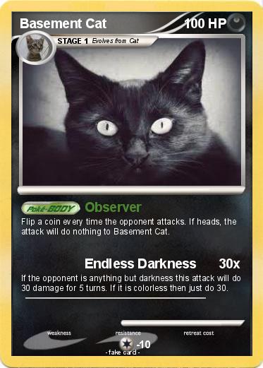 Pokemon Basement Cat