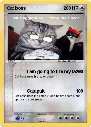Pokemon Cat boss