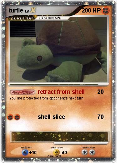 Pokemon turtle