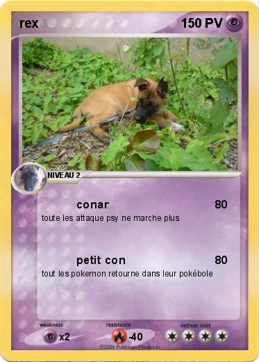 Pokemon rex